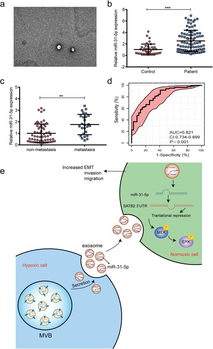 https://cdn.ncbi.nlm.nih.gov/pmc/blobs/5b63/8167983/35504f8810c2/13046_2021_1979_Fig7_HTML.jpg