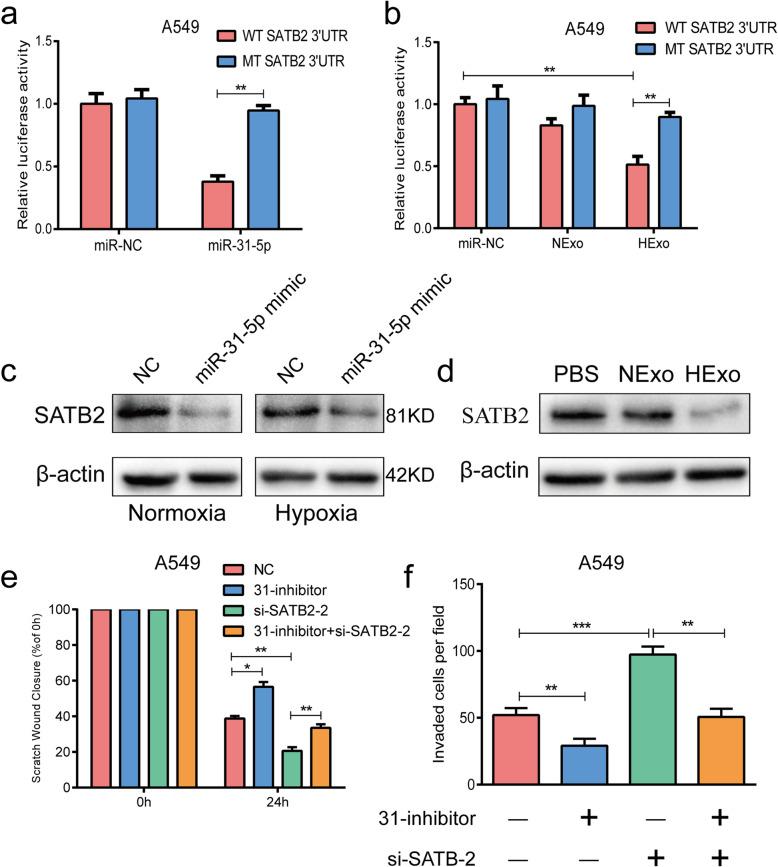 https://cdn.ncbi.nlm.nih.gov/pmc/blobs/5b63/8167983/4e85d3116db6/13046_2021_1979_Fig4_HTML.jpg