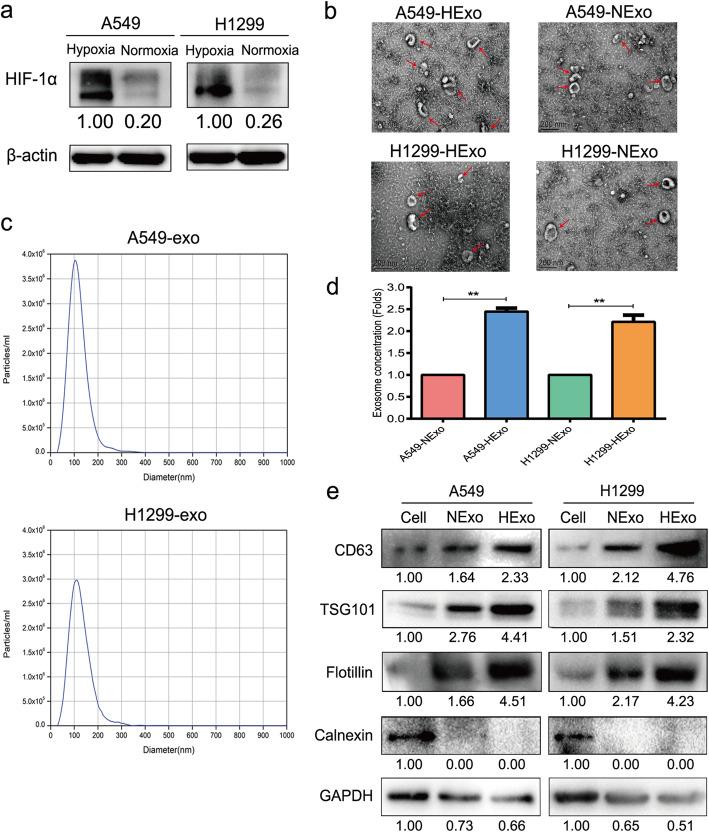https://cdn.ncbi.nlm.nih.gov/pmc/blobs/5b63/8167983/8577b617fbca/13046_2021_1979_Fig1_HTML.jpg