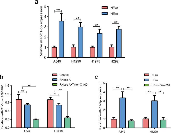 https://cdn.ncbi.nlm.nih.gov/pmc/blobs/5b63/8167983/f91d9ab66f34/13046_2021_1979_Fig3_HTML.jpg