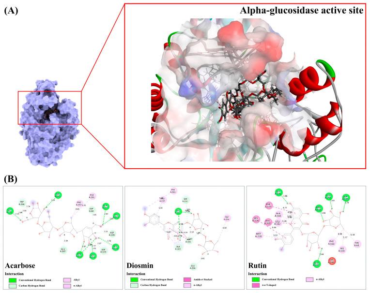 https://cdn.ncbi.nlm.nih.gov/pmc/blobs/5b64/11428413/2caa3b6094c3/antioxidants-13-01064-g010.jpg