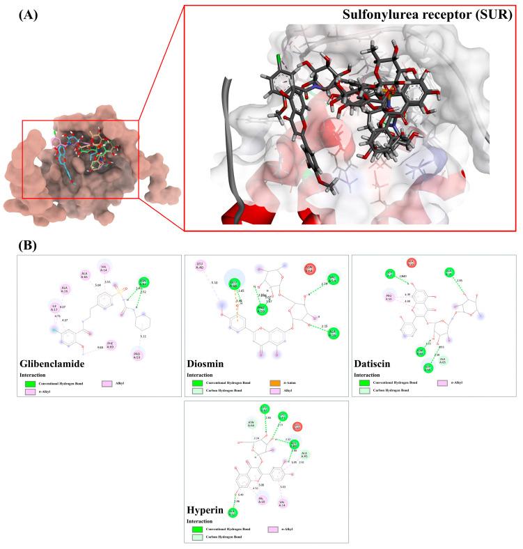 https://cdn.ncbi.nlm.nih.gov/pmc/blobs/5b64/11428413/49de017867d1/antioxidants-13-01064-g011.jpg