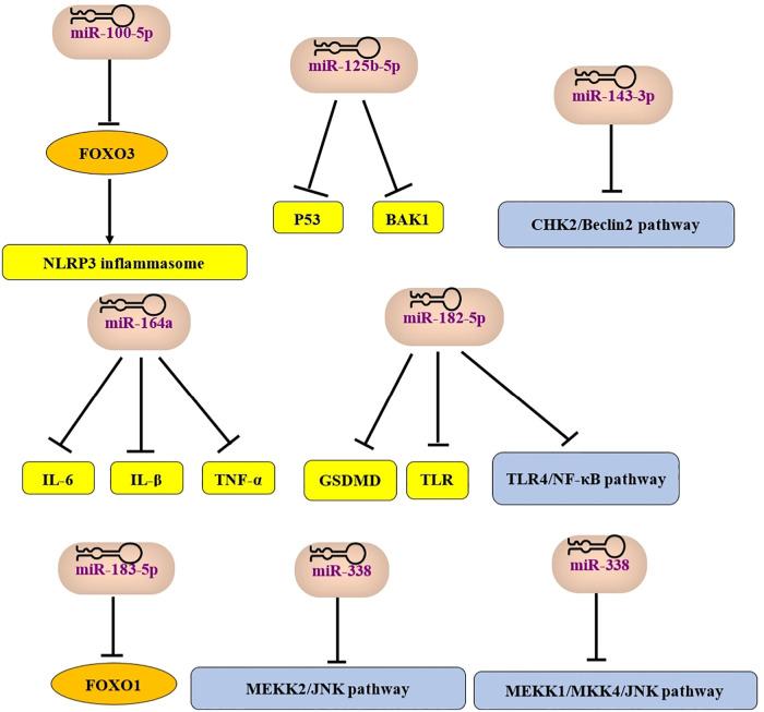 https://cdn.ncbi.nlm.nih.gov/pmc/blobs/5b64/12066684/3d329d39f8f8/fcvm-12-1518036-g002.jpg