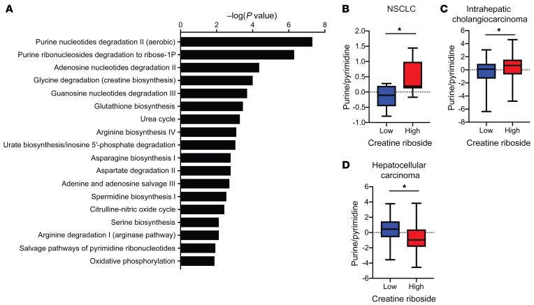 https://cdn.ncbi.nlm.nih.gov/pmc/blobs/5b67/9282934/80335d776b41/jci-132-157410-g138.jpg
