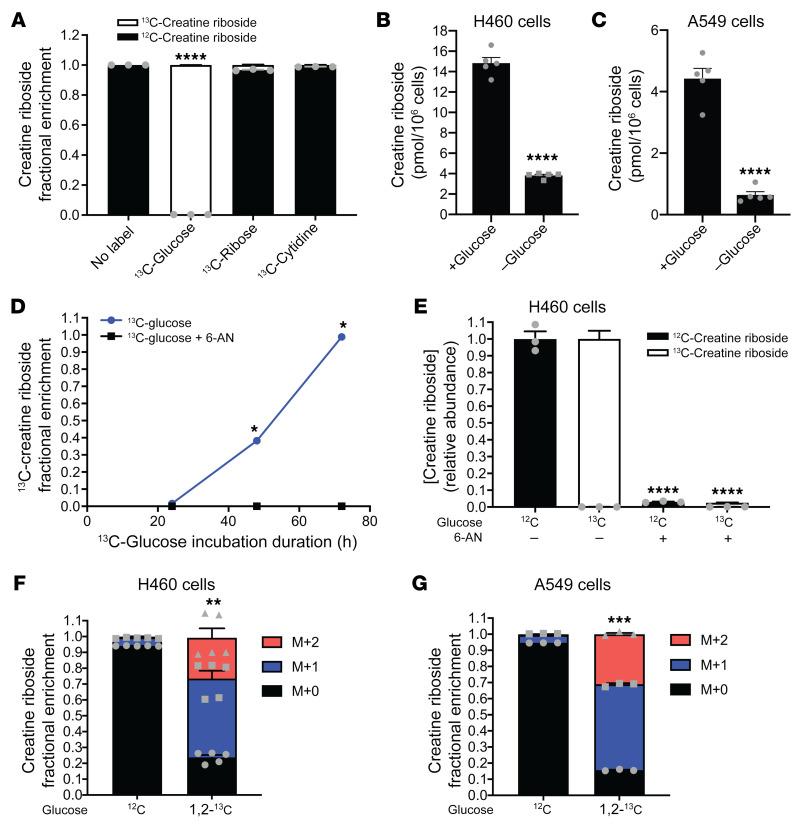 https://cdn.ncbi.nlm.nih.gov/pmc/blobs/5b67/9282934/ffbed657cd79/jci-132-157410-g135.jpg