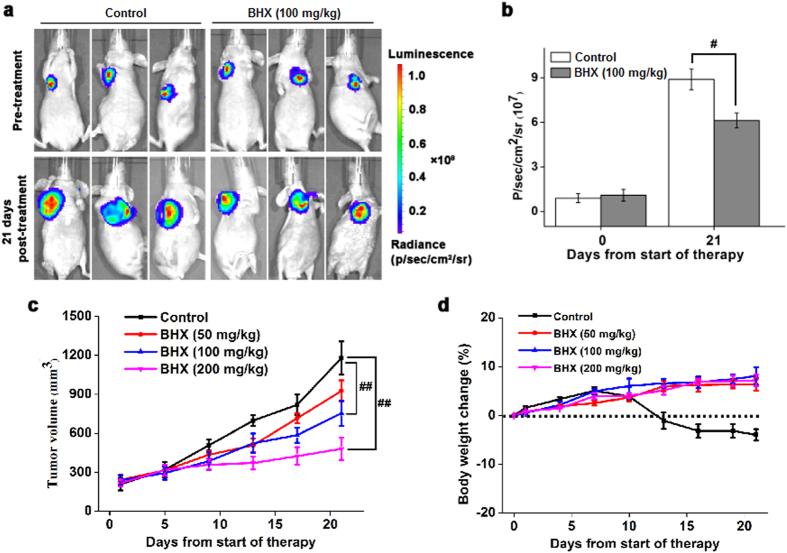 https://cdn.ncbi.nlm.nih.gov/pmc/blobs/5b68/5567253/3abeef924b71/41598_2017_9655_Fig6_HTML.jpg