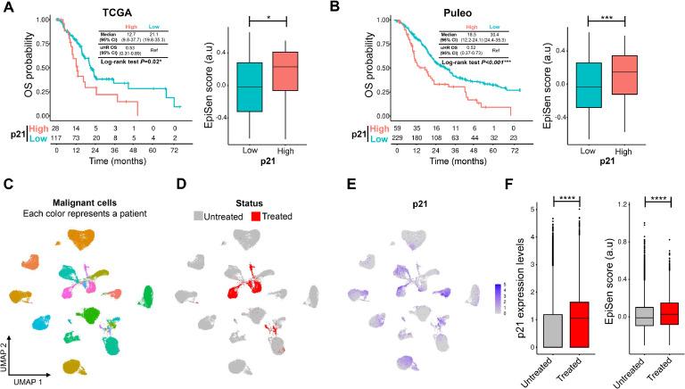 https://cdn.ncbi.nlm.nih.gov/pmc/blobs/5b69/12143771/dcae130b450e/gr8.jpg