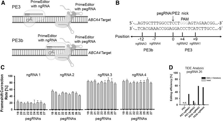 https://cdn.ncbi.nlm.nih.gov/pmc/blobs/5b6b/10278032/3b01a250dd17/nat.2022.0037_figure4.jpg