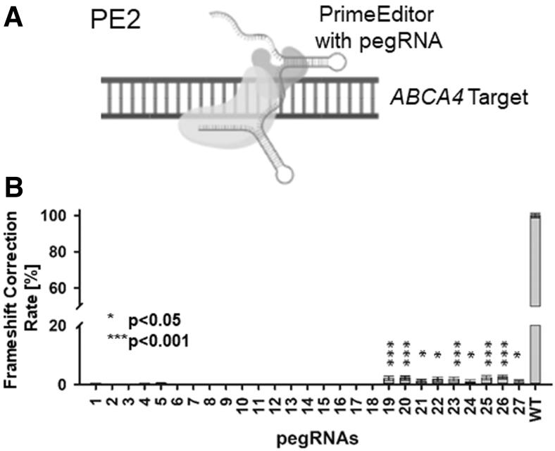 https://cdn.ncbi.nlm.nih.gov/pmc/blobs/5b6b/10278032/78b7e5a42bb2/nat.2022.0037_figure3.jpg