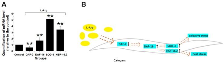 https://cdn.ncbi.nlm.nih.gov/pmc/blobs/5b6d/5086708/4b5b70709e01/ijerph-13-00969-g004.jpg