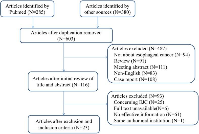 https://cdn.ncbi.nlm.nih.gov/pmc/blobs/5b6e/7057611/52133b9fa3ab/12885_2020_6656_Fig1_HTML.jpg