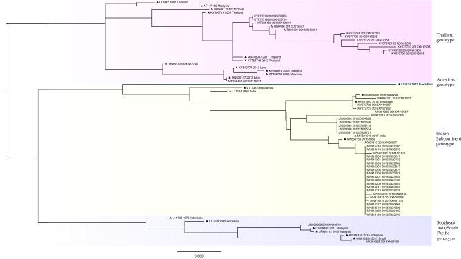 https://cdn.ncbi.nlm.nih.gov/pmc/blobs/5b6e/9905598/54cd89d49c3b/41598_2023_28453_Fig4_HTML.jpg