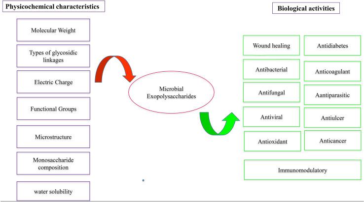 https://cdn.ncbi.nlm.nih.gov/pmc/blobs/5b72/10230149/8628e07e9ba6/11274_2023_3660_Fig3_HTML.jpg