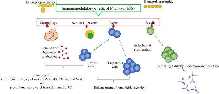 https://cdn.ncbi.nlm.nih.gov/pmc/blobs/5b72/10230149/9f1e28cd0c35/11274_2023_3660_Fig5_HTML.jpg