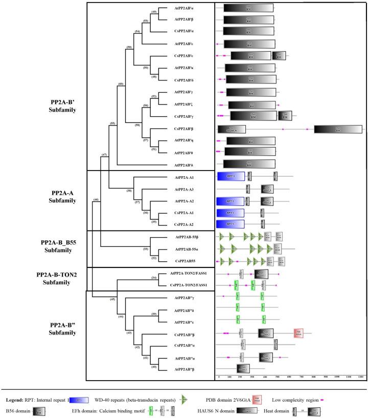 https://cdn.ncbi.nlm.nih.gov/pmc/blobs/5b74/12124296/71b1b08ed391/peerj-13-19431-g004.jpg