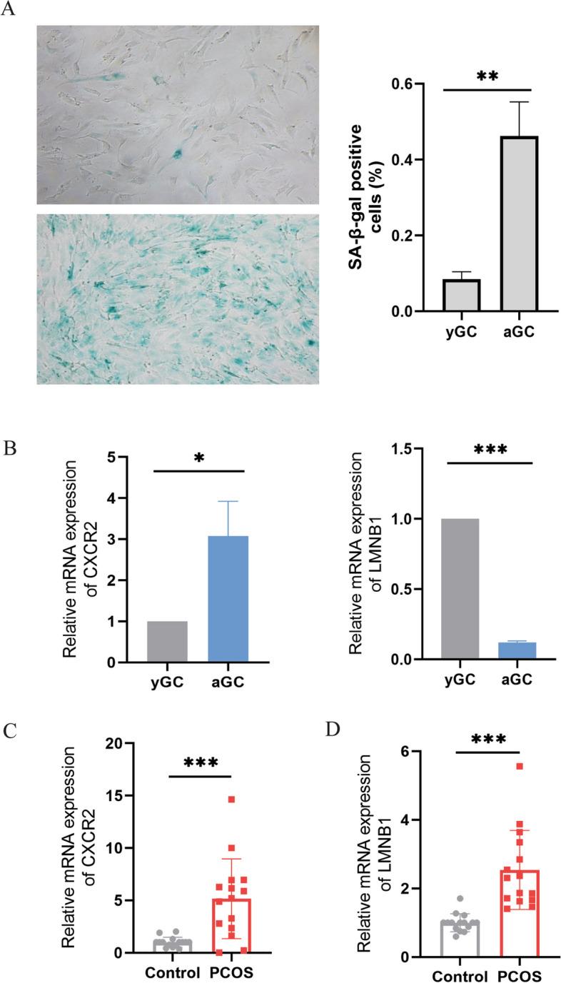 https://cdn.ncbi.nlm.nih.gov/pmc/blobs/5b77/10770899/2a02822095fb/13048_2023_1338_Fig7_HTML.jpg