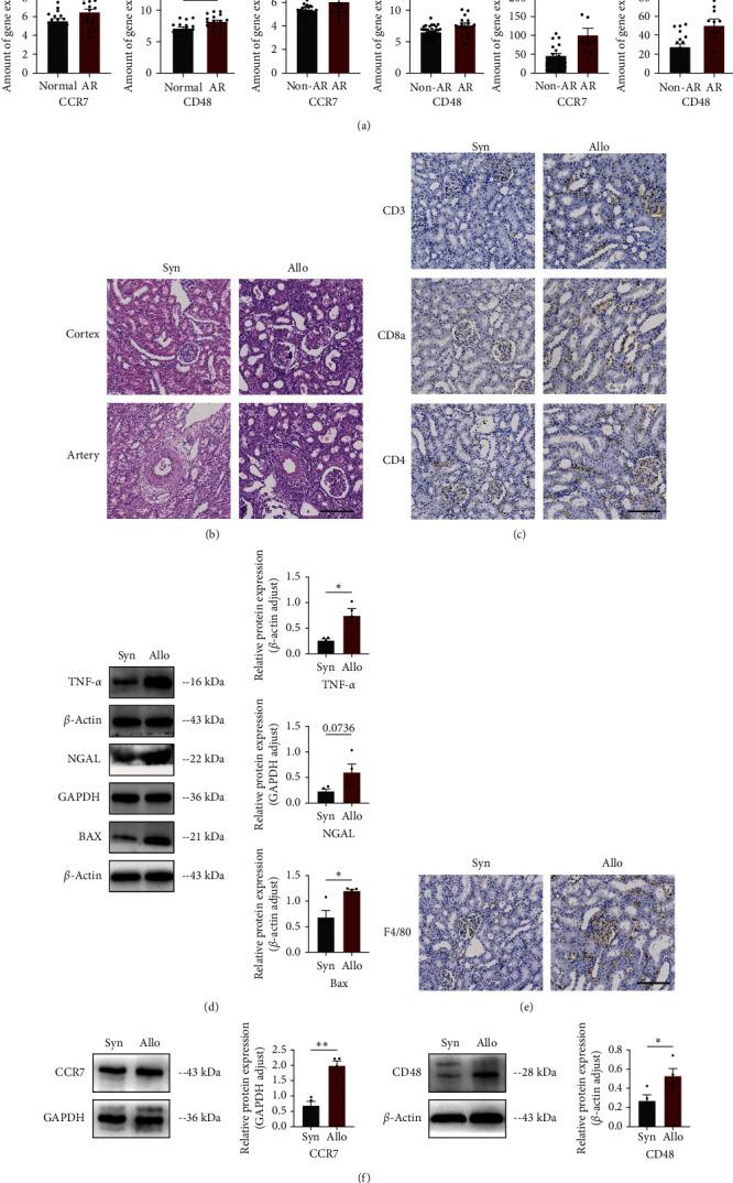 https://cdn.ncbi.nlm.nih.gov/pmc/blobs/5b78/11217580/722efcb04e40/JIR2024-6908968.004.jpg
