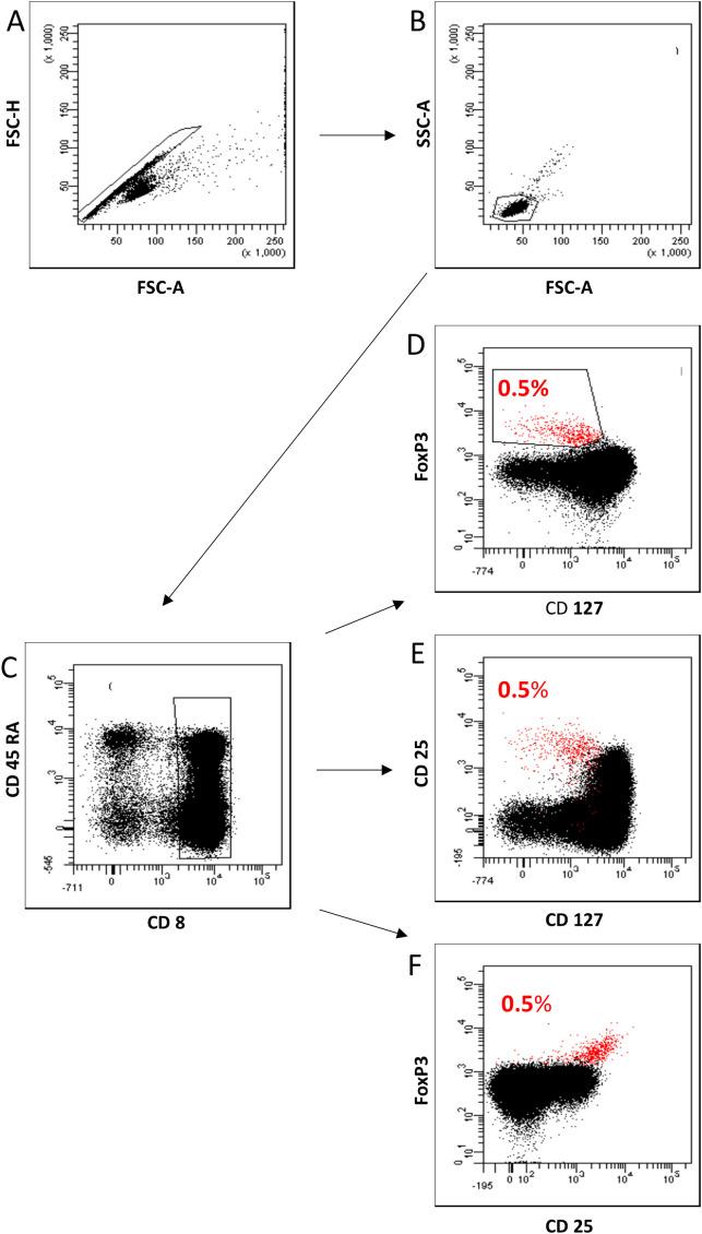 https://cdn.ncbi.nlm.nih.gov/pmc/blobs/5b79/11802571/da8d26fedad7/fimmu-16-1532086-g005.jpg