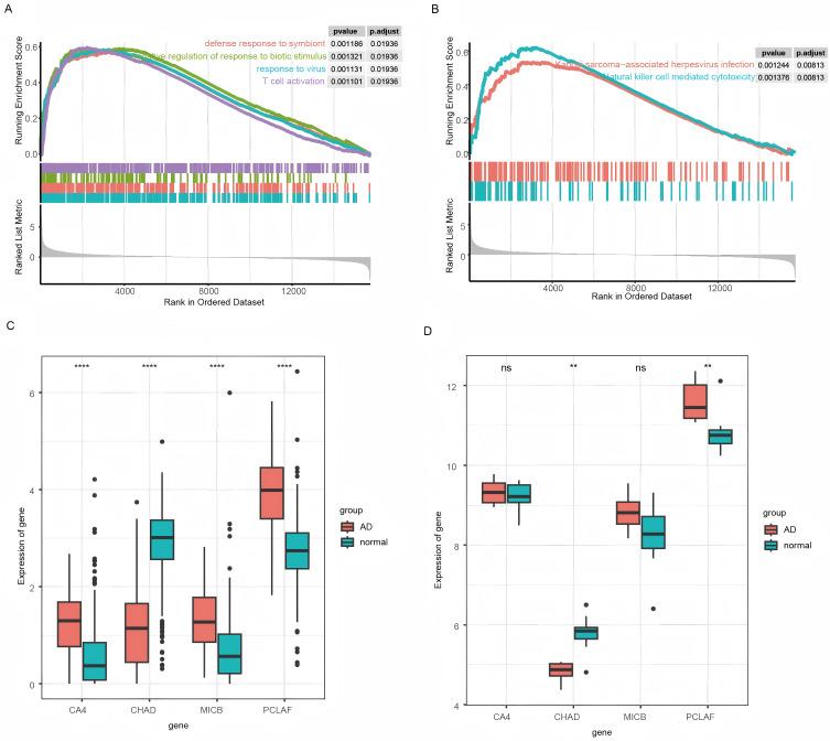 https://cdn.ncbi.nlm.nih.gov/pmc/blobs/5b7a/11992997/5b0a404d546c/CCID-18-867-g0004.jpg