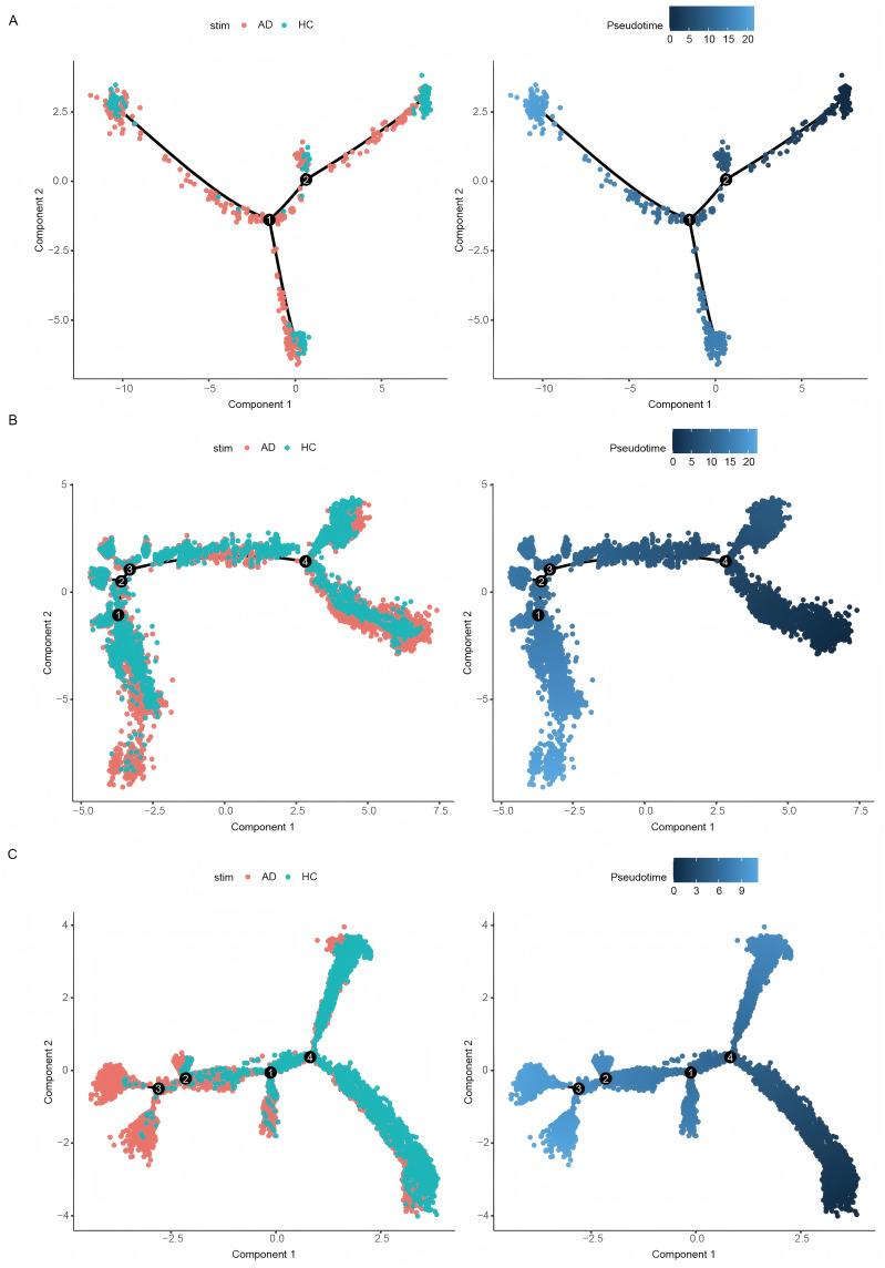 https://cdn.ncbi.nlm.nih.gov/pmc/blobs/5b7a/11992997/600792bedd30/CCID-18-867-g0006.jpg