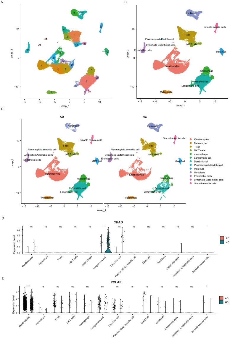 https://cdn.ncbi.nlm.nih.gov/pmc/blobs/5b7a/11992997/b50201677a9a/CCID-18-867-g0005.jpg