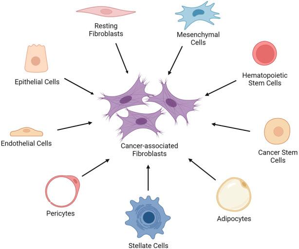 https://cdn.ncbi.nlm.nih.gov/pmc/blobs/5b7c/10982390/3eea4a730d96/fmolb-11-1340124-g001.jpg