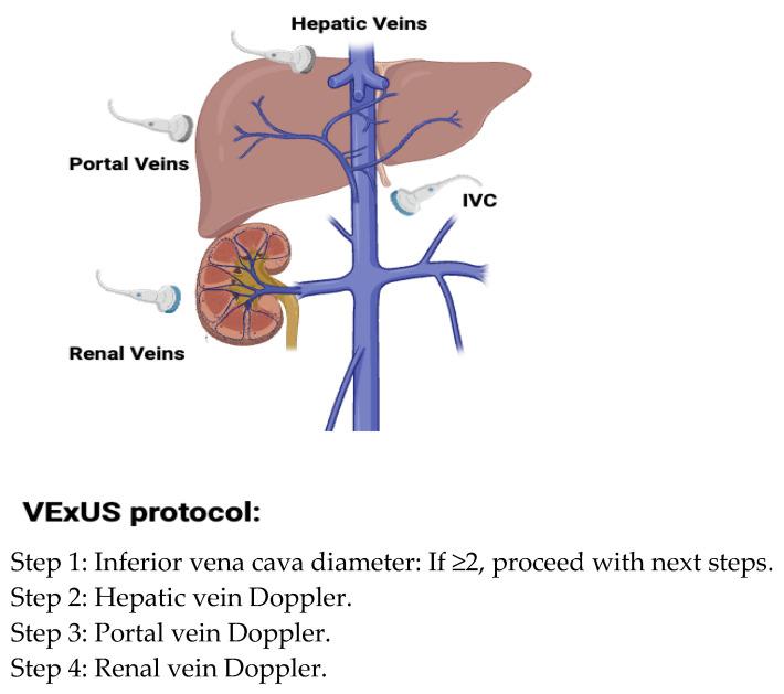 https://cdn.ncbi.nlm.nih.gov/pmc/blobs/5b7d/12189778/c69c7322a8b0/biomedicines-13-01426-g003.jpg