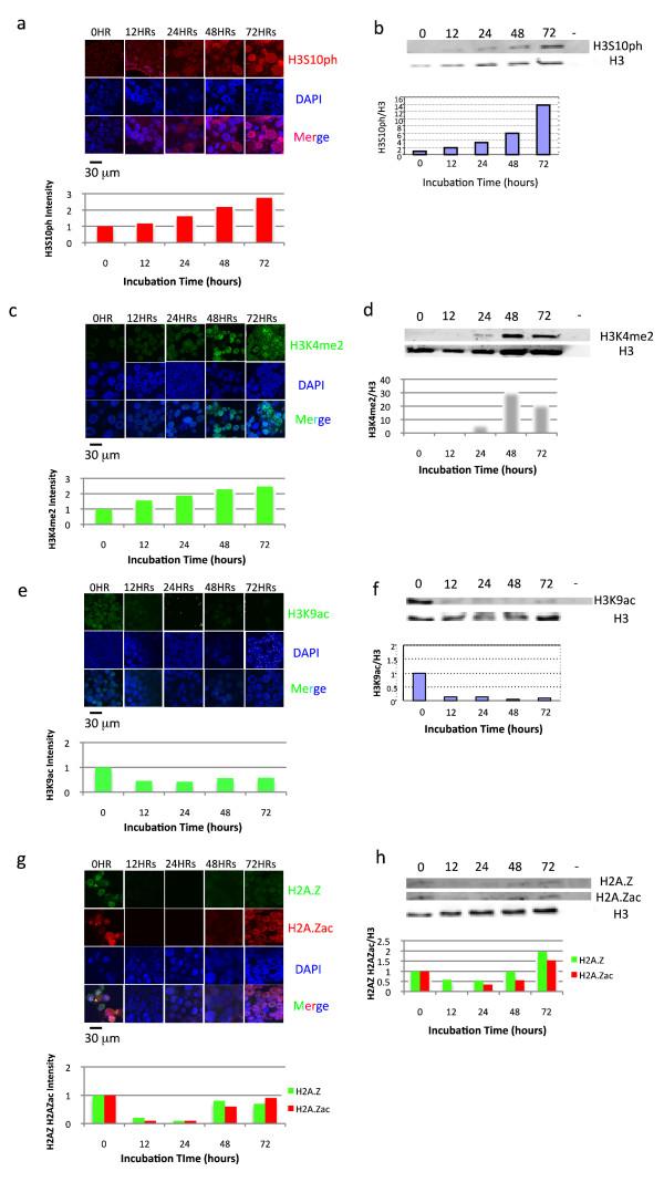 https://cdn.ncbi.nlm.nih.gov/pmc/blobs/5b7e/2829560/6afdce8c6907/1756-8935-3-4-3.jpg