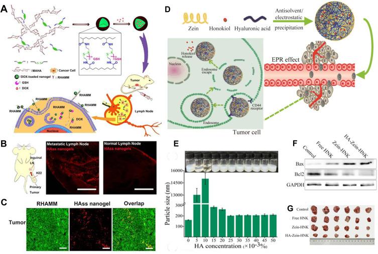 https://cdn.ncbi.nlm.nih.gov/pmc/blobs/5b7f/11278852/5a0d7f938a54/IJN-19-7415-g0011.jpg