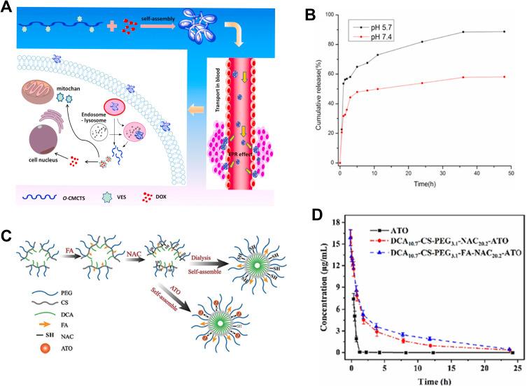 https://cdn.ncbi.nlm.nih.gov/pmc/blobs/5b7f/11278852/9f38c5812831/IJN-19-7415-g0009.jpg