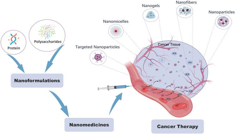 https://cdn.ncbi.nlm.nih.gov/pmc/blobs/5b7f/11278852/e3edb8a36c9c/IJN-19-7415-g0001.jpg