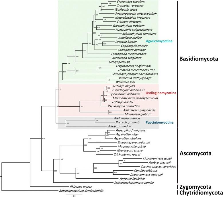 https://cdn.ncbi.nlm.nih.gov/pmc/blobs/5b7f/4393869/6c1e1f9e3f10/12864_2015_1380_Fig5_HTML.jpg