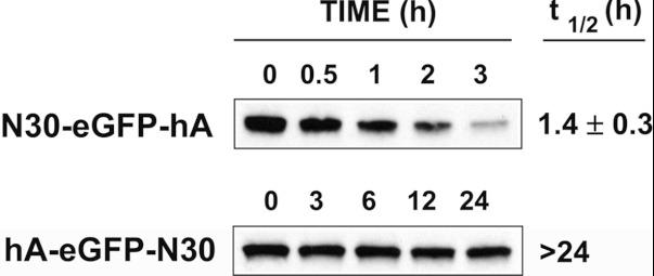 https://cdn.ncbi.nlm.nih.gov/pmc/blobs/5b80/3549573/3caea982da5e/bsr2012-0112i007.jpg