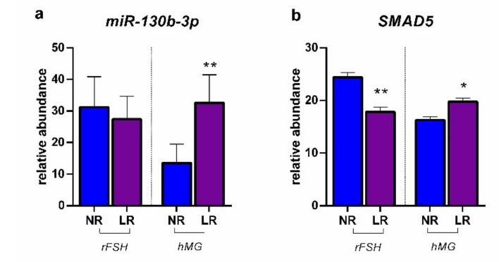 https://cdn.ncbi.nlm.nih.gov/pmc/blobs/5b80/8836191/afd1dc2a120c/ijms-23-01713-g004.jpg