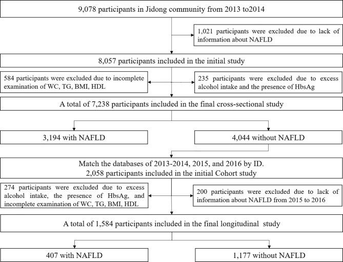 https://cdn.ncbi.nlm.nih.gov/pmc/blobs/5b81/8960385/80c439a4895b/fendo-13-831960-g001.jpg
