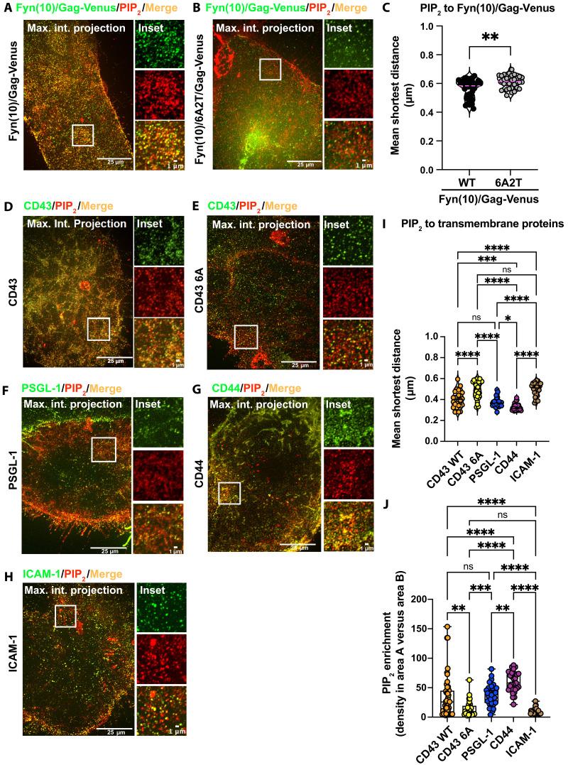 https://cdn.ncbi.nlm.nih.gov/pmc/blobs/5b82/11970457/41a5815eb5bf/sciadv.ads9711-f6.jpg