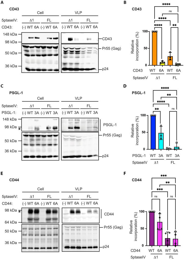 https://cdn.ncbi.nlm.nih.gov/pmc/blobs/5b82/11970457/eab8c54d9308/sciadv.ads9711-f1.jpg