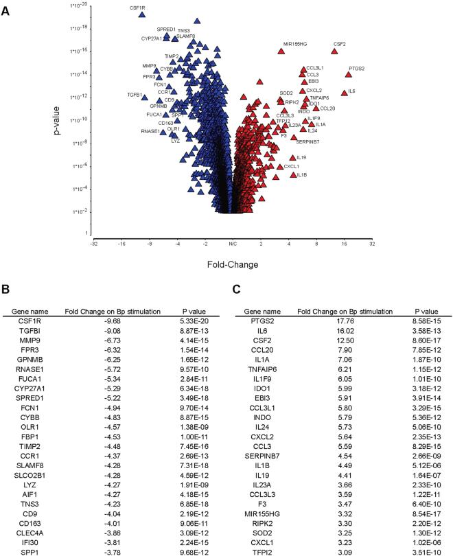 https://cdn.ncbi.nlm.nih.gov/pmc/blobs/5b84/5610189/86473b2d9604/41598_2017_12331_Fig7_HTML.jpg