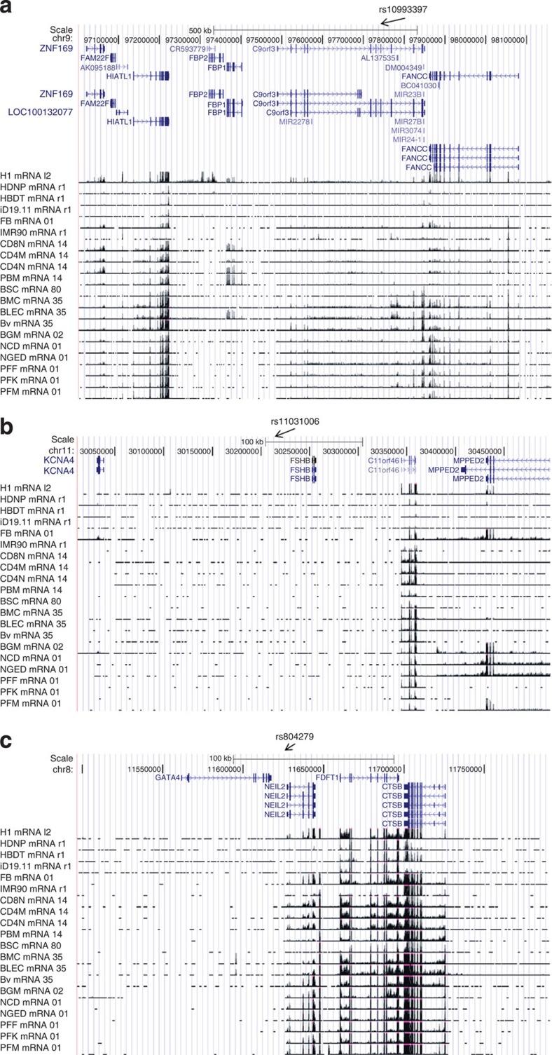 https://cdn.ncbi.nlm.nih.gov/pmc/blobs/5b85/4557132/0943fbeab5d9/ncomms8502-f4.jpg