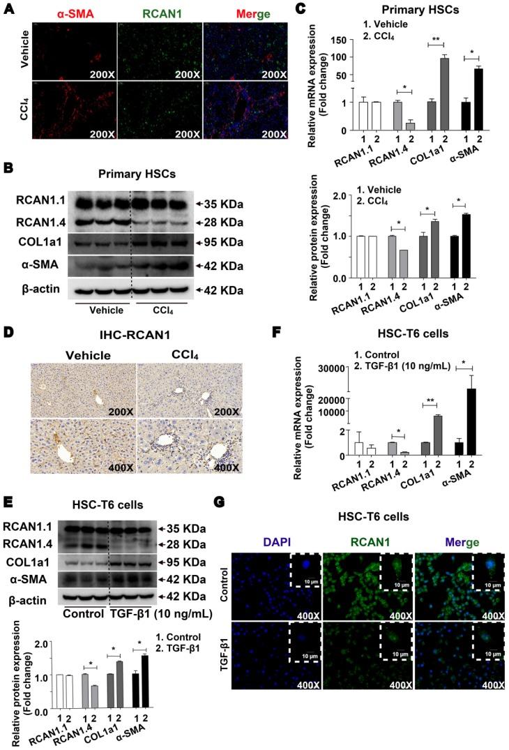 https://cdn.ncbi.nlm.nih.gov/pmc/blobs/5b85/6599664/41c6fb22b476/thnov09p4308g001.jpg