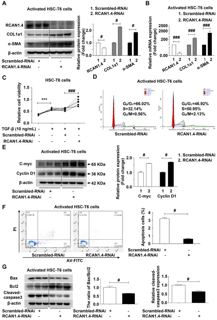 https://cdn.ncbi.nlm.nih.gov/pmc/blobs/5b85/6599664/b33945ebf13a/thnov09p4308g005.jpg