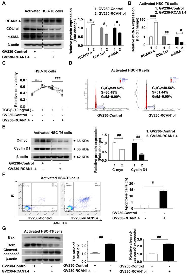 https://cdn.ncbi.nlm.nih.gov/pmc/blobs/5b85/6599664/cde4c59ea415/thnov09p4308g004.jpg