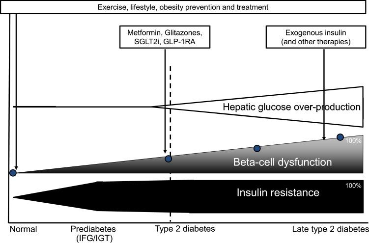 https://cdn.ncbi.nlm.nih.gov/pmc/blobs/5b85/8824792/4b3463cb3876/DMSO-15-281-g0002.jpg