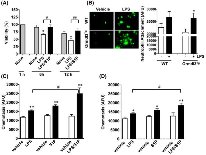 https://cdn.ncbi.nlm.nih.gov/pmc/blobs/5b88/10107261/acabe5dac4bc/FSB2-37-0-g006.jpg