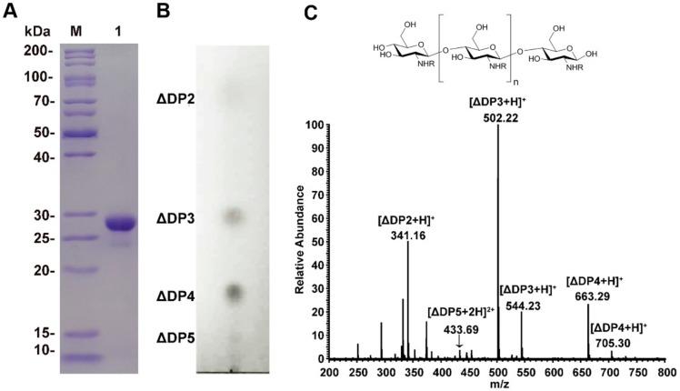 https://cdn.ncbi.nlm.nih.gov/pmc/blobs/5b88/7145300/5dbc28c234fb/molecules-25-01314-g001.jpg