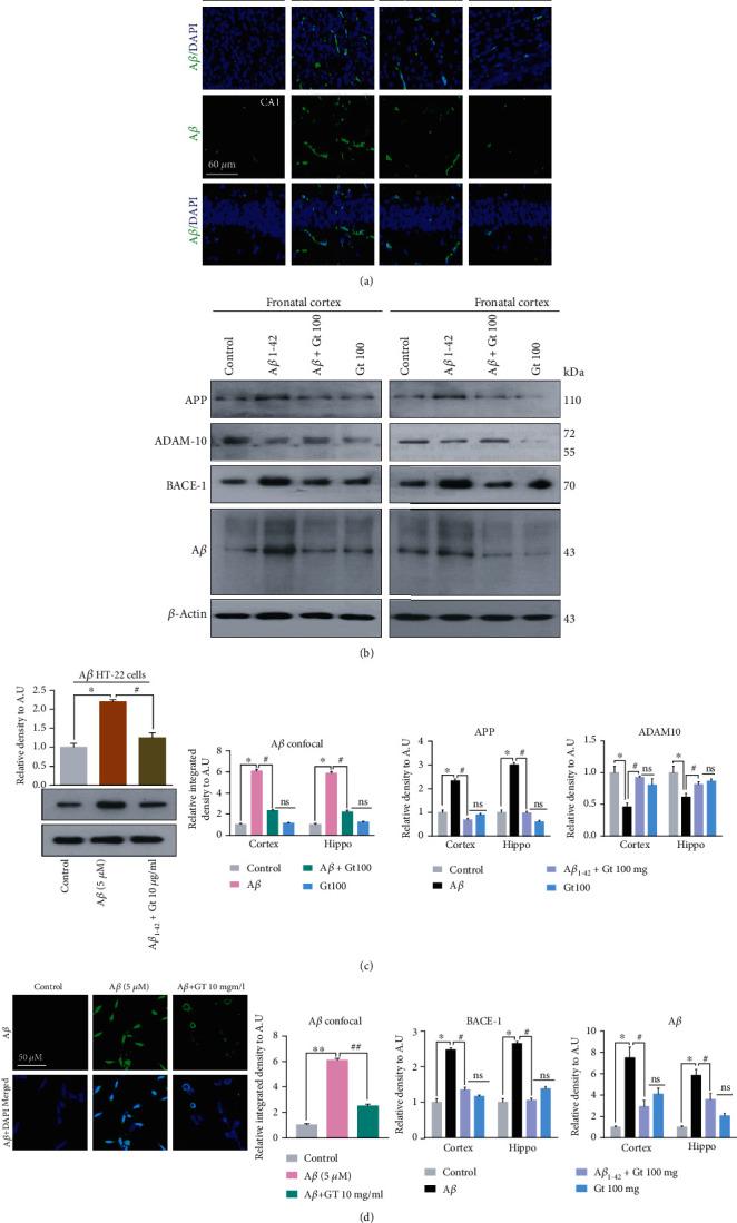 https://cdn.ncbi.nlm.nih.gov/pmc/blobs/5b88/8068536/2b41abc2f63a/OMCL2021-6635552.003.jpg