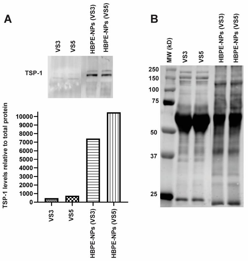 https://cdn.ncbi.nlm.nih.gov/pmc/blobs/5b8b/9775140/4e31efef3eee/biomimetics-07-00219-g006.jpg