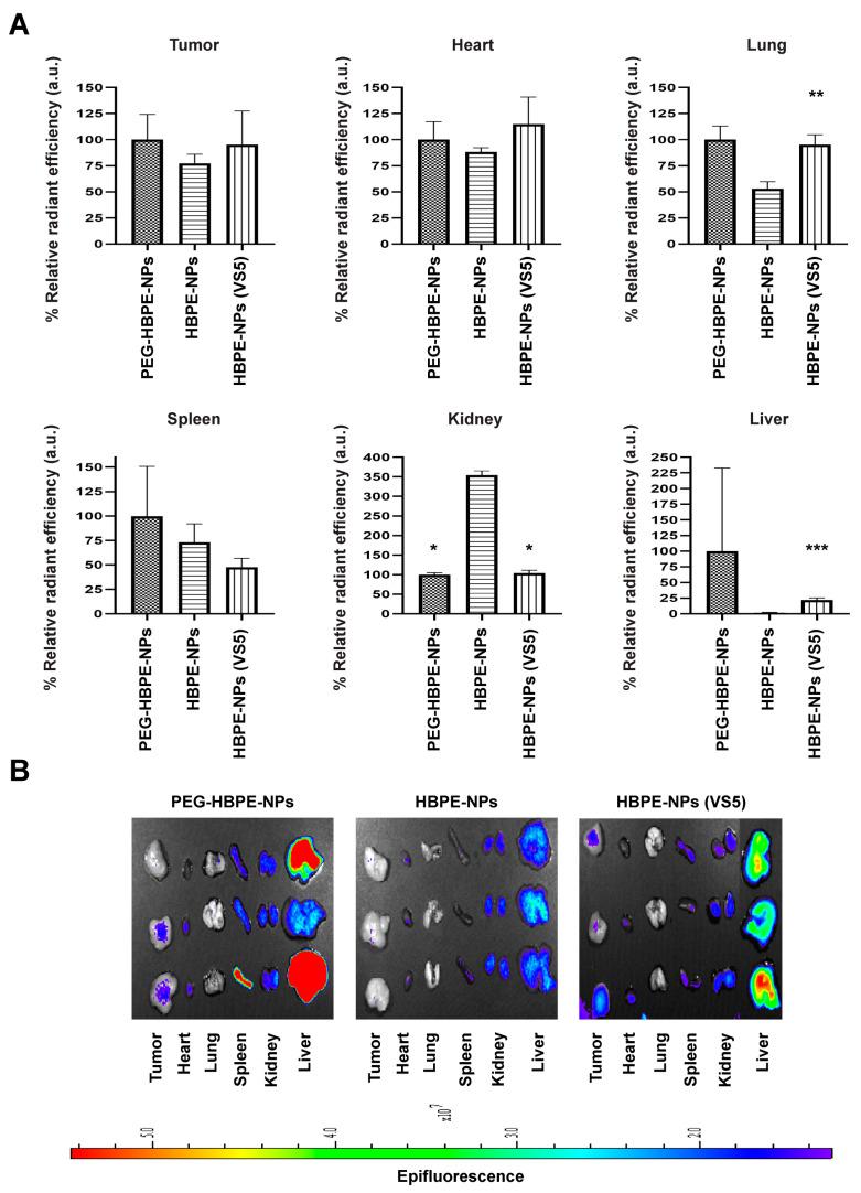 https://cdn.ncbi.nlm.nih.gov/pmc/blobs/5b8b/9775140/5198f07ba9f5/biomimetics-07-00219-g005.jpg