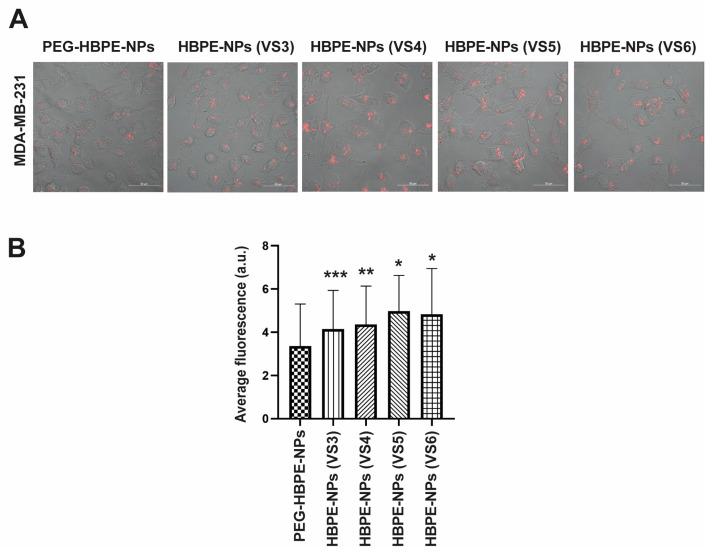 https://cdn.ncbi.nlm.nih.gov/pmc/blobs/5b8b/9775140/f2b3b48012c2/biomimetics-07-00219-g004.jpg