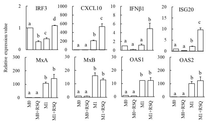 https://cdn.ncbi.nlm.nih.gov/pmc/blobs/5b8c/9858497/e6bcd6531d0e/foods-12-00313-g002.jpg